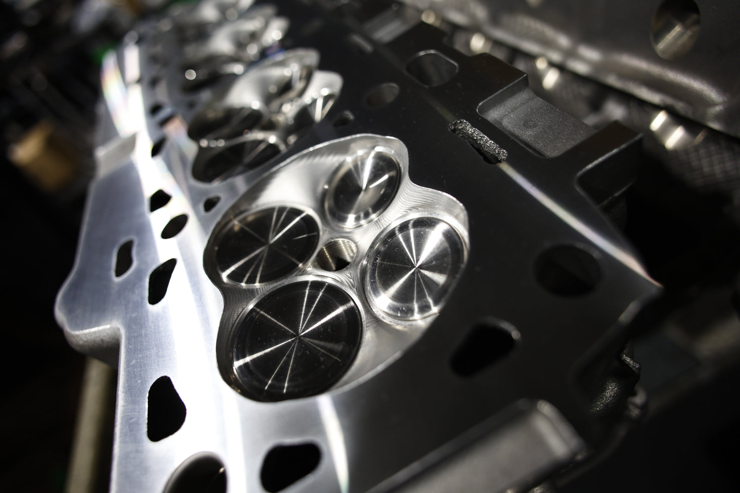 PREDATOR 700-1000whp