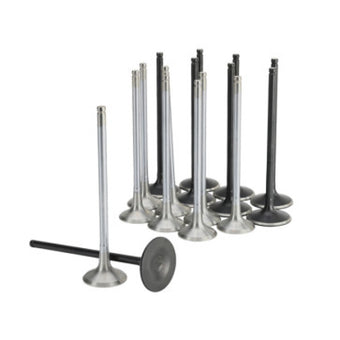 compare product Skunk2 Honda K20C1 Alpha Series Intake & Exhaust Valve Set (Standard Compression)