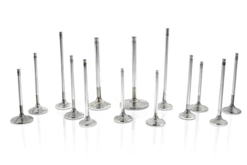 Ferrea Valve Seals