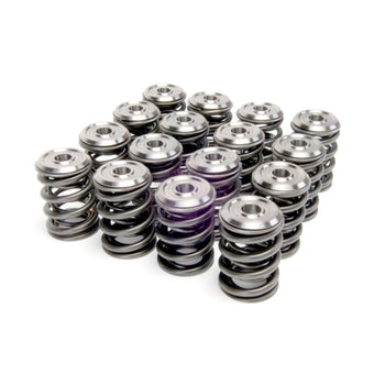 compare product Skunk2 Alpha Series Honda/Acura B Series Valve Spring and Titanium Retainer Kit