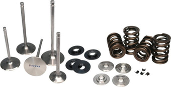 compare product Ferrea Subaru WRX STI Endurance Dual Spring Kit