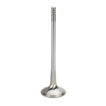 compare product Supertech Audi/VW 2.0T FSI 16V Inconel Exhaust Valve - Single (Drop Ship Only)