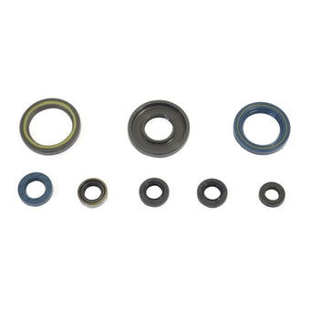 compare product Athena 84-89 KTM 250 GS-MX Engine Oil Seal Kit