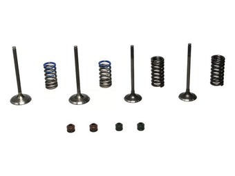 compare product Wiseco 08-09 CRF250R Steel Valve Set