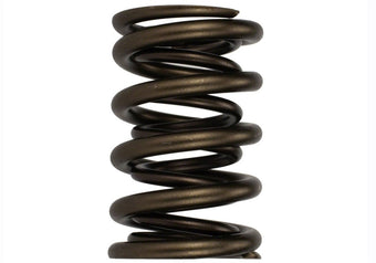 compare product Ford Racing Replacement Hydraulic Roller Valve Spring - Single (For M-6049-SCJA)