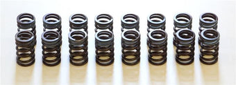 compare product HKS 91-00 Infiniti G20 SR20DET Outer Valve Spring Set