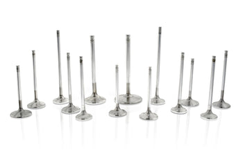 compare product Ferrea Chevy/Chry/Ford SB 1.6in 5/16in 5.01in 14 Deg Flo Rad Grv +.100 Hollow Exh Valve - Set of 8