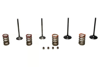 compare product Wiseco 11-16 KX250F Steel Valve Set