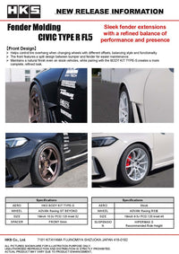 HKS Fender Molding FL5