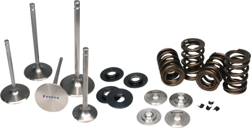 Ferrea Valve Springs & Retainers