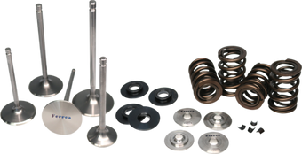 compare product Ferrea Subaru WRX STI Turbo Dual Spring Kit