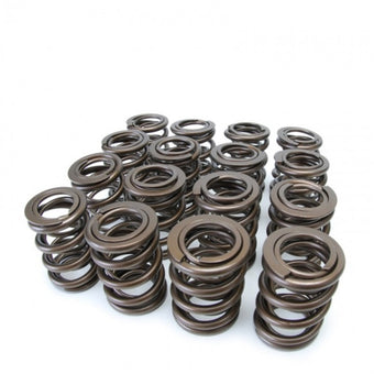 compare product Skunk2 Tuner Series Honda/Acura (B16A/ B17A/ B18C) DOHC VTEC Alpha Valve Spring Set (Dual Springs)