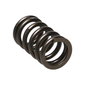 compare product Manley Nissan (SR20DE SR20DET) 16pc Valve Springs