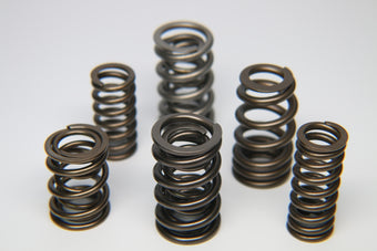 compare product Ferrea Ford Windsor V8 302/351 / MOPAR V8 340/360 Outer w/Damper Valve Spring - Set of 8