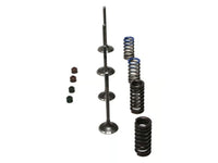 Wiseco 08-09 CRF250R Steel Valve Set