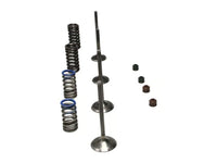 Wiseco 08-09 CRF250R Steel Valve Set