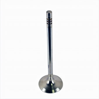 compare product Ford Racing Coyote 5.2L Lightweight Exhaust Valve - Set of 8