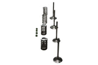Wiseco 02-06 CRF450R Steel Valve Set
