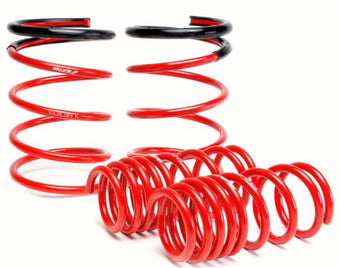 compare product Skunk2 02-04 Acura RSX Lowering Springs (2.25in - 2.00in.) (Set of 4)
