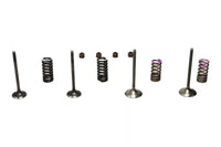 Wiseco 04-07 CRF250R Steel Valve Set