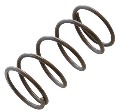 Wastegate Springs