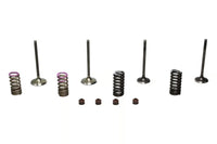 Wiseco 04-07 CRF250R Steel Valve Set