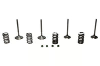 Wiseco 02-06 CRF450R Steel Valve Set