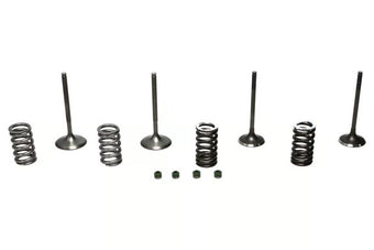 compare product Wiseco 02-06 CRF450R Steel Valve Set