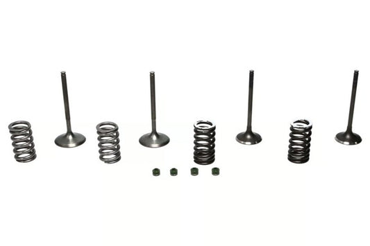Wiseco 02-06 CRF450R Steel Valve Set