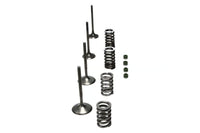 Wiseco 02-06 CRF450R Steel Valve Set