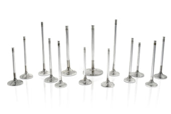 compare product Ferrea Chrysler Big Block 2.32 Head 5/16 Stem Dia Competition Plus Intake Valve - Set of 8