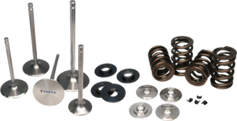 compare product Ferrea 00-09 Suzuki DRZ/LTZ 400 Single Valve Spring Kit