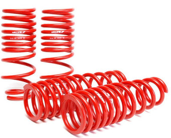 compare product Skunk2 94-01 Acura Integra Lowering Springs (2.50in - 2.25in.) (Set of 4)