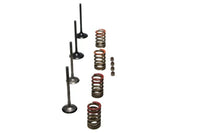 Wiseco 11-16 KX250F Steel Valve Set