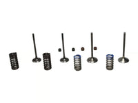 Wiseco 08-09 CRF250R Steel Valve Set